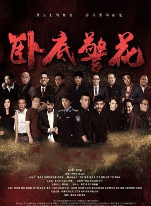 卧底警花