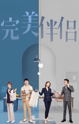 完美伴侣