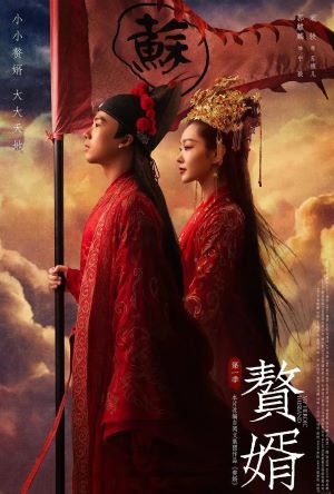赘婿