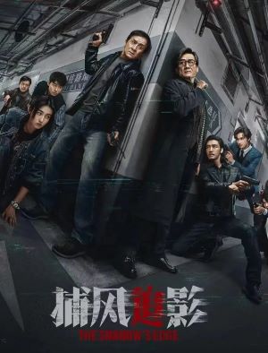 捕风追影