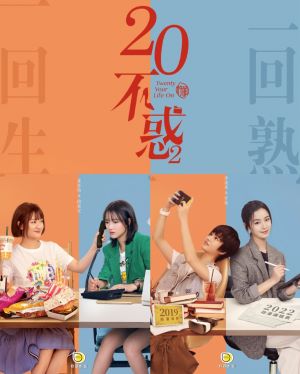二十不惑2