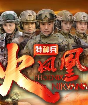 特种兵之火凤凰