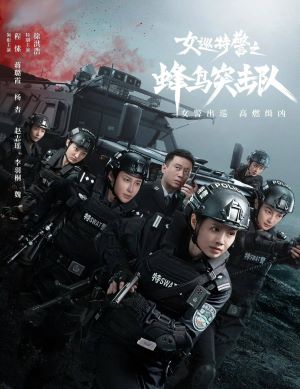 女巡特警之蜂鸟突击队