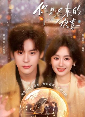你是迟来的欢喜2026