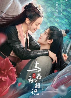 与君初相识
