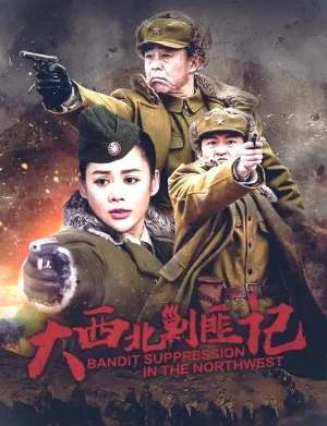 大西北剿匪记